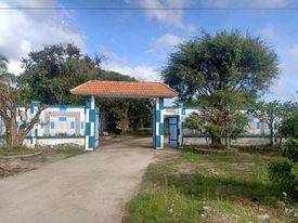 Cần bán nhà mặt tiền Trần Hưng Đạo, 9000m2, ngang 68m, phường 5, TP Cà Mau, giá 65 tỷ