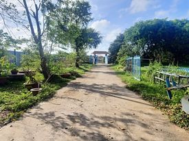 Cần bán nhà mặt tiền Trần Hưng Đạo, 9000m2, ngang 68m, phường 5, TP Cà Mau, giá 65 tỷ