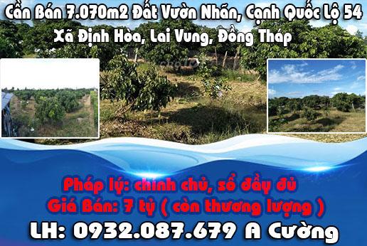 Chính Chủ Cần Bán 7.070m2 Đất Vườn Nhãn, Cạnh Quốc Lộ 54, Xã Định Hòa, Lai Vung, Đồng Tháp