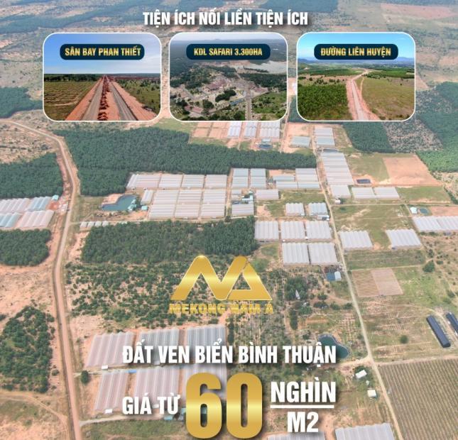 Đất nông nghiệp Bắc Bình - Cơ hội đầu tư đón đầu thị - trường BĐS Tỉnh Bình Thuận