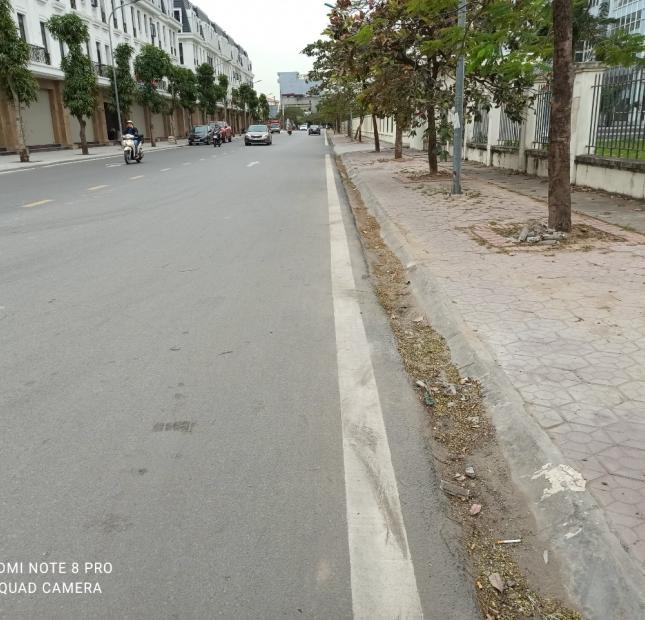 Bán đất mặt đường Máng Nước, An Đồng, Hải Phòng giá đầu tư