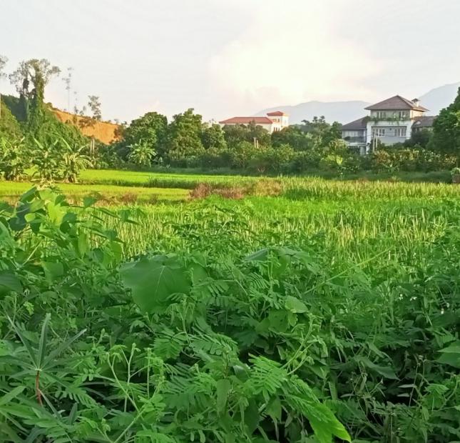 2540M2 ĐẤT NHÀ VƯỜN THÔN MUỖI, YÊN BÀI, BA VÌ, 3.3 TỶ
