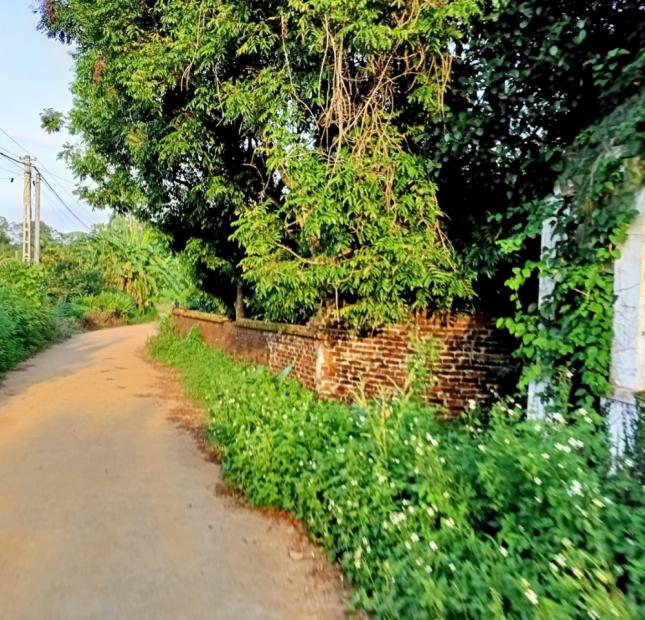 2540M2 ĐẤT NHÀ VƯỜN THÔN MUỖI, YÊN BÀI, BA VÌ, 3.3 TỶ