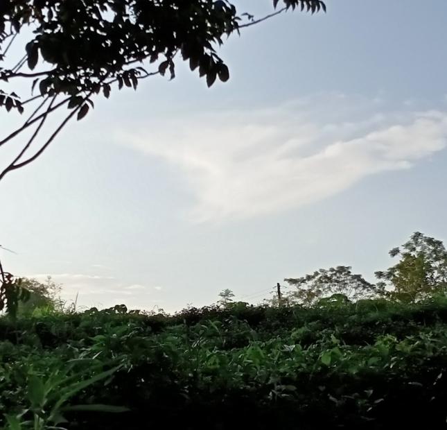 2540M2 ĐẤT NHÀ VƯỜN THÔN MUỖI, YÊN BÀI, BA VÌ, 3.3 TỶ