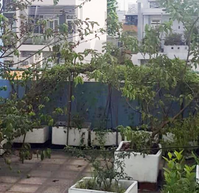 HXH Hoàng Ngọc Phách Tân Phú, 72m2, 4.2x17.5, 4T, 4PN, giá đầu tư 7.7 tỷ, hàng ngộp