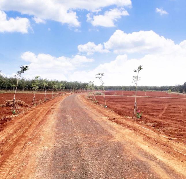 Bán đất mặt tiền đường Phan Đình Phùng, huyện Chư Pah Gia Lai