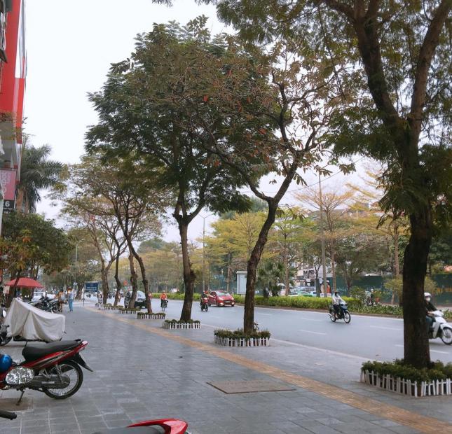 Mặt phố Nguyễn Văn Huyên 290m2 mặt tiền 12m giá 50 tỷ Lh: 0855516188