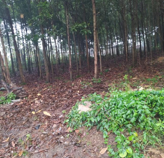 Đất siêu rẻ tại Lương Sơn, Hòa Bình 8700m2,giá 5 tỷ