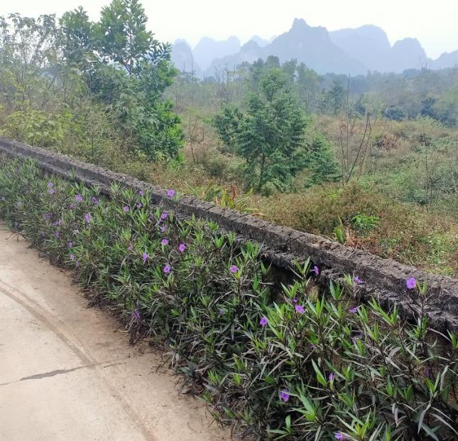 Đất rẻ quá tại Lương Sơn, Hòa Bình 3000m2, giá 3,6 tỷ