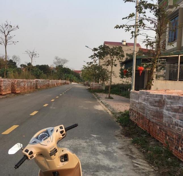 Cần bán 2 lô đất vị trí siêu đẹp khu vực TP Việt Trì - Phú Thọ