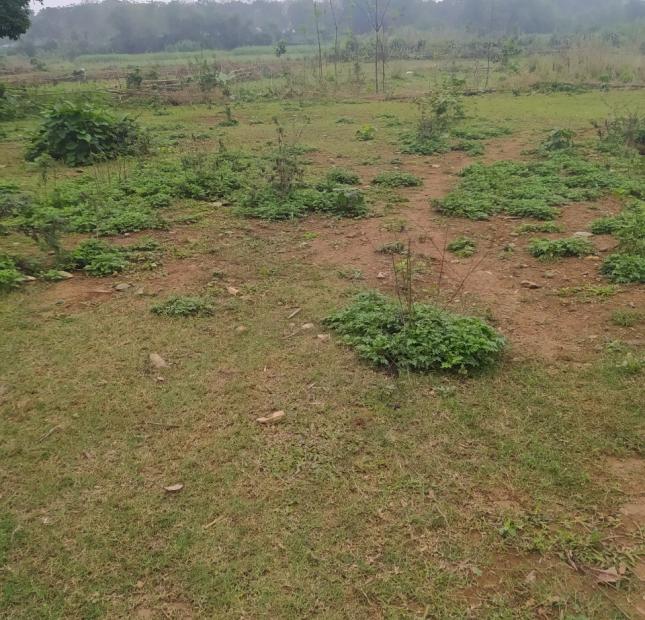 Bán đất ở Lương Sơn, Hòa Bình 6000m2, giá 4,8 tỷ