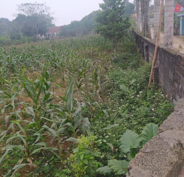 Đất đẹp giá rẻ tại Lương Sơn, Hòa Bình 1700m2, giá 2,9 tỷ