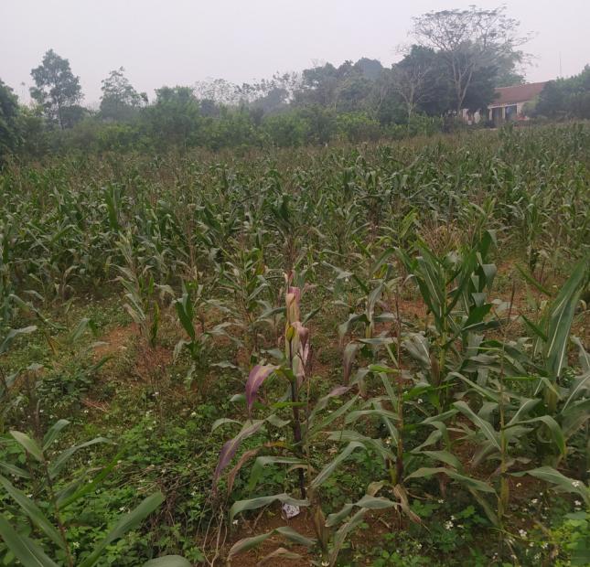 Đất đẹp giá rẻ tại Lương Sơn, Hòa Bình 1700m2, giá 2,9 tỷ
