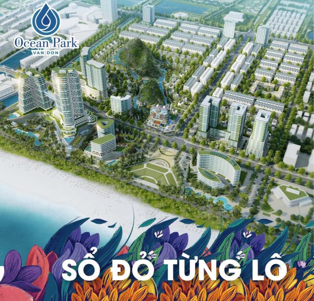 Bán Đất nền khu đô thị Ocean Park vân đồn giá chỉ từ 29tr/m2 Cái Rồng Quảng Ninh