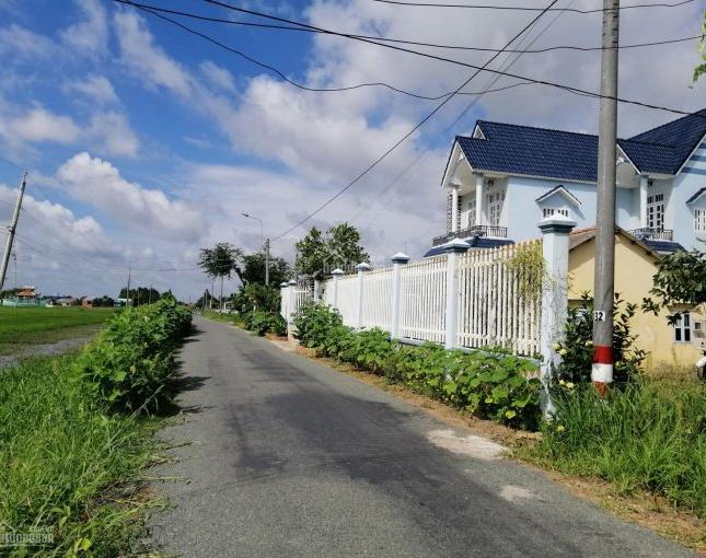 Đất nền thổ cư liền kề Cảng Quốc Tế Long An, MT đường ĐT 19, Tân Tập, Cần Giuộc, Long An