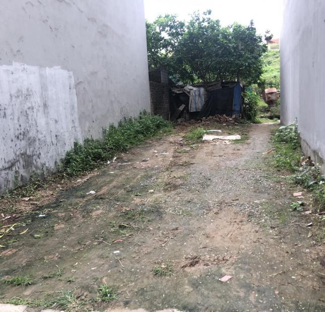 Cần bán 88m đất phân lô khu tập thể Trại Gà Phúc Thịnh, Đặng Xá: