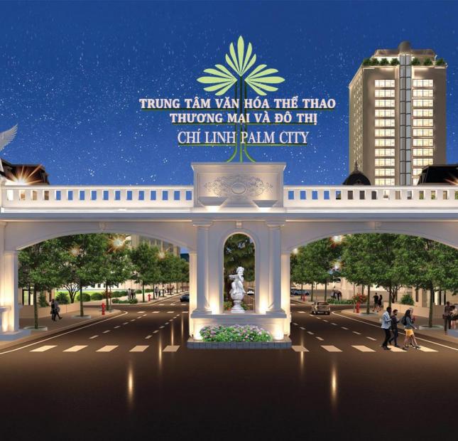 Dự án đất nền Chí Linh Palm City