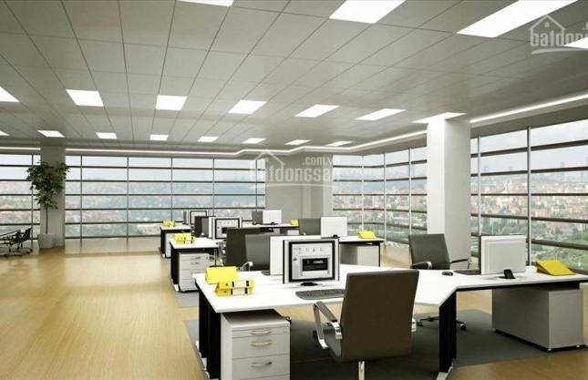 Cho Thuê gấp sàn văn phòng hạng A tại Đống Đa 2500 m2 x mặt tiền 40m siêu rẻ