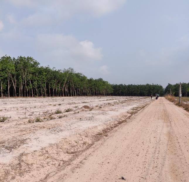 Chính chủ cần bán 1600m2 đất ở Suối Dây, Tân Châu, Tây Ninh