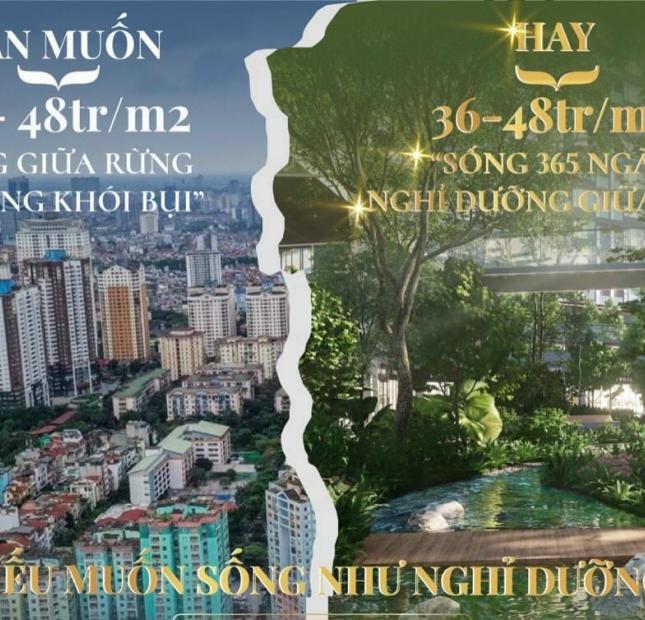 Về Haven Park Ecopark Chúng ta cùng nhau kể về câu chuyện của thiên nhiên giá rẻ nhất ưu đãi  liên