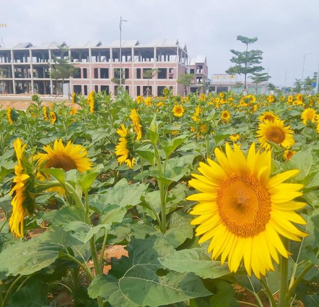 Mở bán những căn đẹp nhất Nam Hội An City View Sông giá 3,7 tỷ, chiết khấu ngay 2%