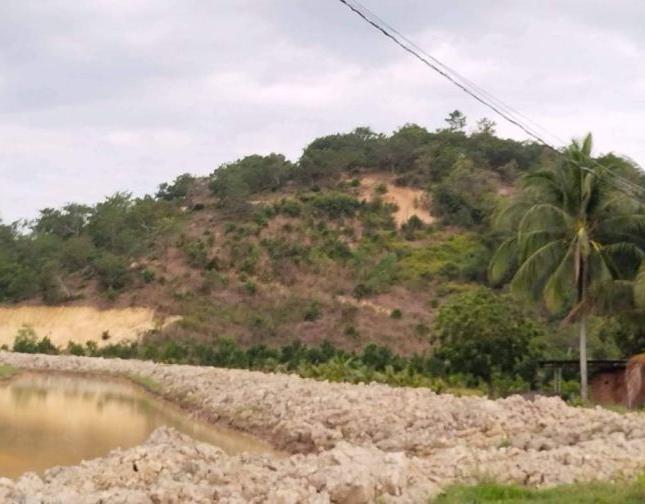 Chính chủ cần bán đất tại: Xã Đắc Lua, huyện Tân Phú, tỉnh Đồng Nai