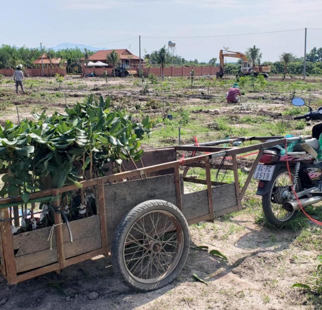 Đất chính chủ tại Bình Châu, Xuyên Mộc, BRVT, đã có sổ riêng, công chứng ngay