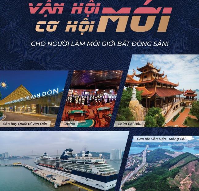 Chuẩn bị ra mắt thêm quỹ hàng HOT đợt 2 SIÊU PHẨM đất nền dự án OCEAN PARK - VÂN ĐỒN