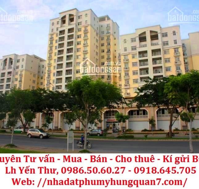 Bán căn hộ penthouse Green View Nguyễn Lương Bằng nhà đẹp, vào ở ngay