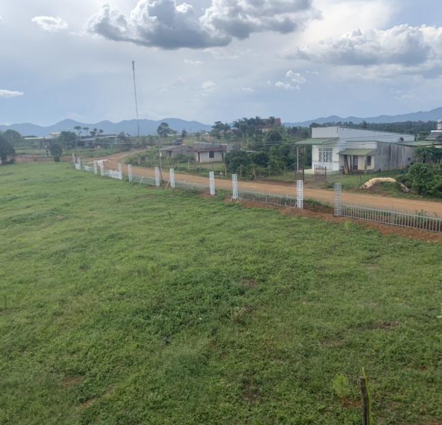 Cần bán đất nền phù hợp đầu tư & xây dựng nhà vườn nghỉ dưỡng tại Xã Dambri TP Bảo Lộc - Lâm Đồng
