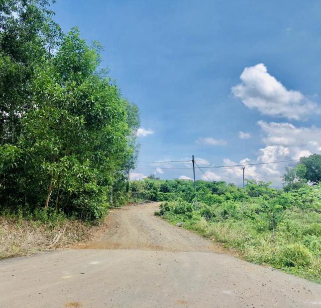 Đất nền giá rẻ KDC Núi Thơm – Bà Rịa Vũng Tàu