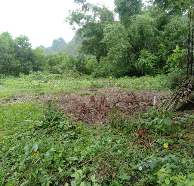 Đất rẻ Lương Sơn, Hòa Bình 1900m2, giá 3,8 tỷ