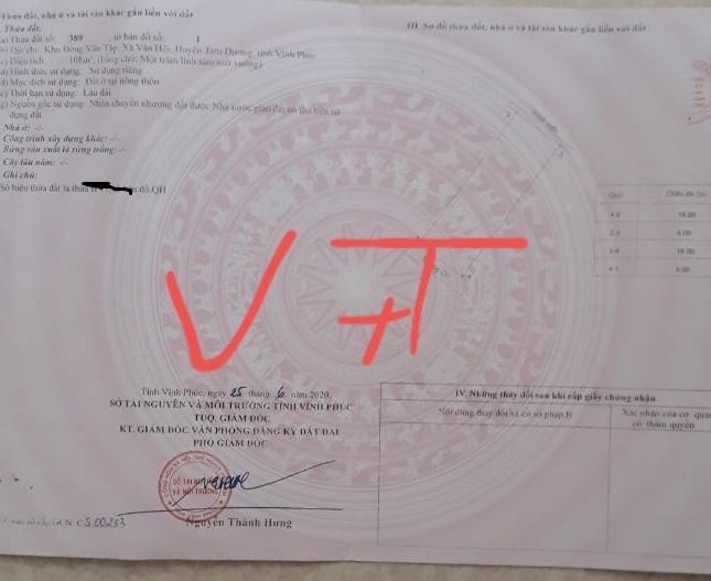 Bán 2 lô đất Vân Tập – Vân Hội – Tam Dương.