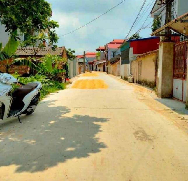 Bán đất tại Thôn Thanh Huệ, Xã Đức Hoà, Sóc Sơn, Hà Nội