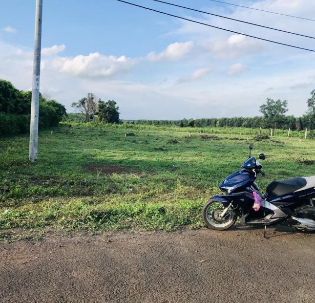Khu dân cư Gò Sầm - Láng Dài giá yêu thương chỉ 5xx/nền