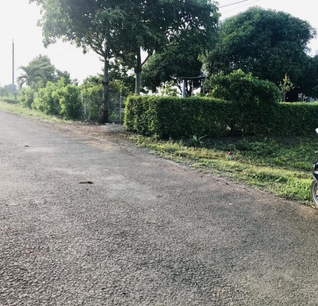 Khu dân cư Gò Sầm - Láng Dài giá yêu thương chỉ 5xx/nền