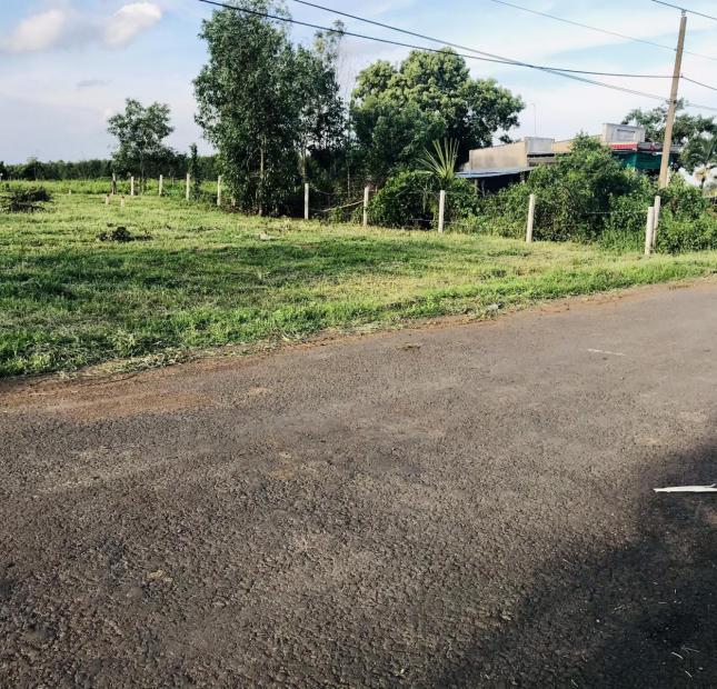 Khu dân cư Gò Sầm - Láng Dài giá yêu thương chỉ 5xx/nền