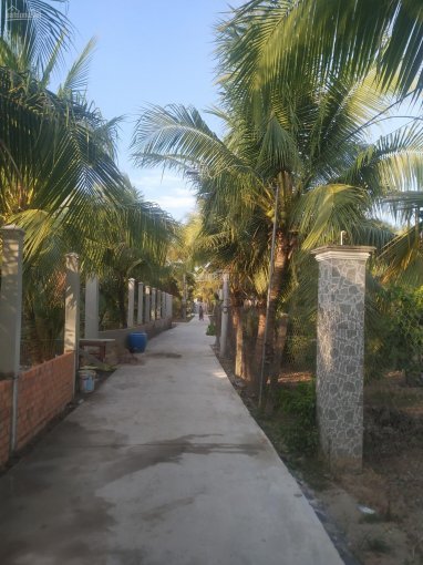 Cần bán gấp 500m2 đất vườn Phước Thạnh, huyện Mỹ Tho, tỉnh Tiền Giang