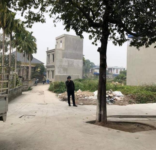 Chủ gửi bán lô đất thổ cư diện tích 56 m2 ngõ trước nhà 3m tại Minh Kha,Đồng Thái,An Dương,liên hệ em 0981 265 268 để xem đất 