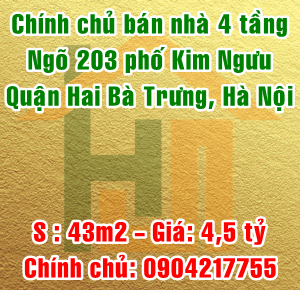 Chính chủ bán nhà ngõ 203 phố Kim Ngưu, Quận Hai Bà Trưng, Hà Nội