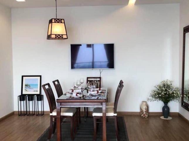 Chính chủ cần bán căn hộ cao cấp tại chung cư Platinum số 6 Nguyễn Công Hoan, 120m2, 3PN, giá 5.1tỷ