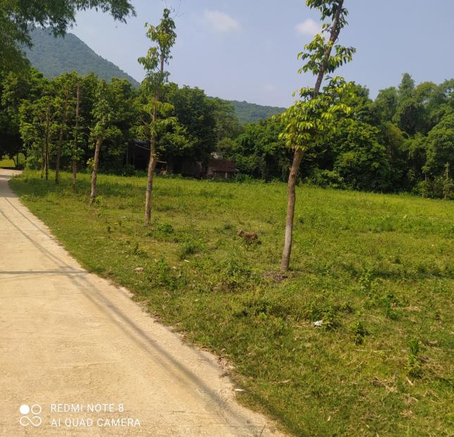 Bán đất Lương Sơn, Hòa Bình 3072m2, giá 4,5 tỷ