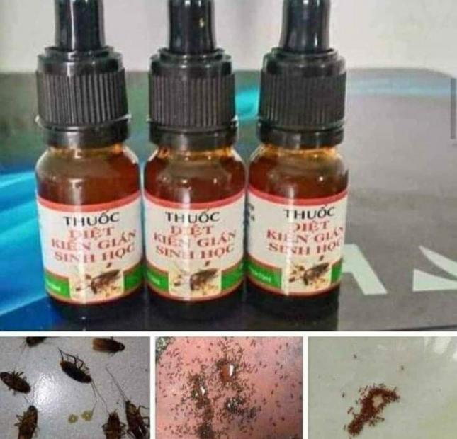 HUMIC USA THUỐC BỔ CHO CÂY TRỒNG,BẠN CỦA NHÀ NÔNG 
DỤNG