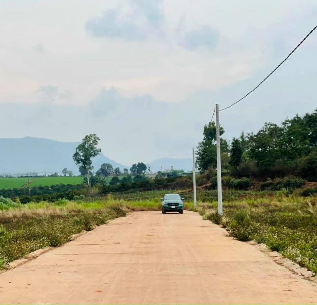 Kẹt tiền bán gấp lô đất 120m2 sẵn 100m2 thổ cư Bồng Lai đi vào chỉ 550 triệu