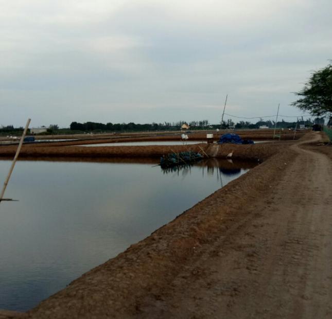 Cần bán nhanh lô đất nuôi tôm công nghiệp Đê Biển Xã Vĩnh Thịnh, Huyện Hoà Bình Bạc Liêu