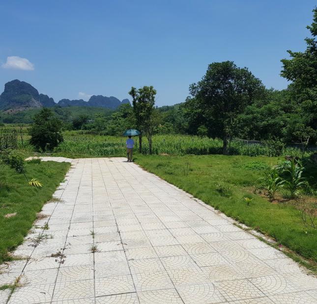Bán gấp đất Lương Sơn, Hòa Bình 4100m2, giá 6,2 tỷ