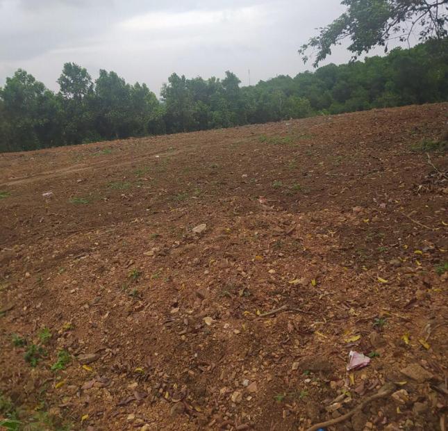 Chính chủ bán nhanh lô đất tại Cư Yên, Lương Sơn, DT: 3600m  giá 1,7 triệu/m