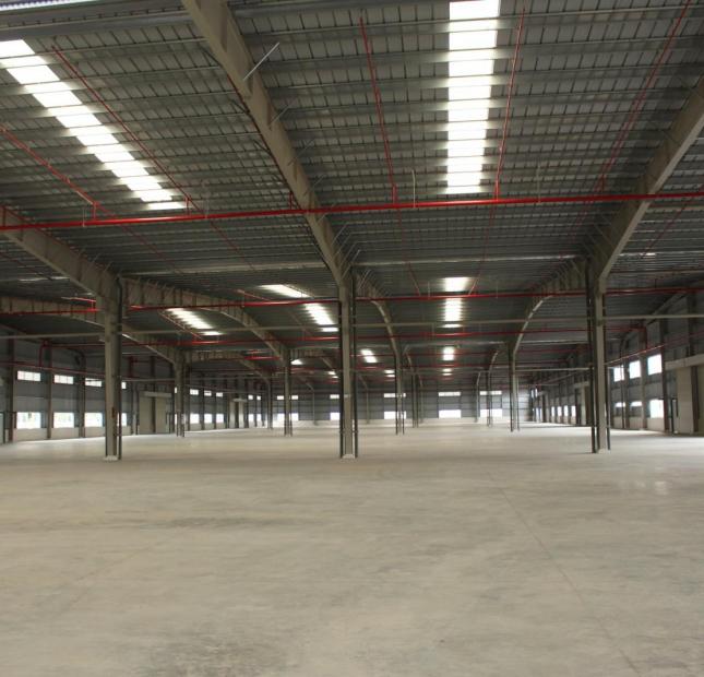 Cho thuê nhà xưởng 2250m2, Đức Hòa Hạ, Đức Hòa, Long An