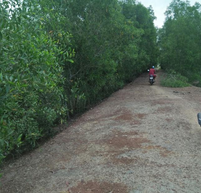 [siêu dự án – siêu khổng lồ]  Di dân !!! bán đất 140 mẫu, xã mỹ thạnh bắc – đức huệ - long an, dt: 1,4 triệu m², giá 1,4 tỷ/mẫu.