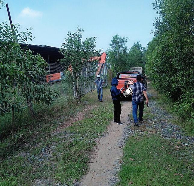 [siêu dự án – siêu khổng lồ] Hàng hiếm !!! bán đất 140 mẫu, xã mỹ thạnh bắc – đức huệ - long an, dt: 1,4 triệu/m², giá 1,4 tỷ/mẫu. 